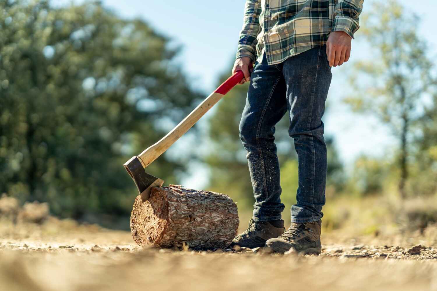 Thorp, WI Tree Service Company